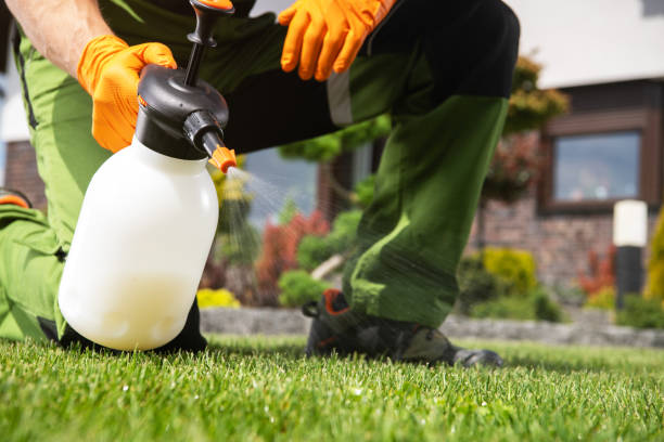Best Wasp Removal Services  in Lake City, MN