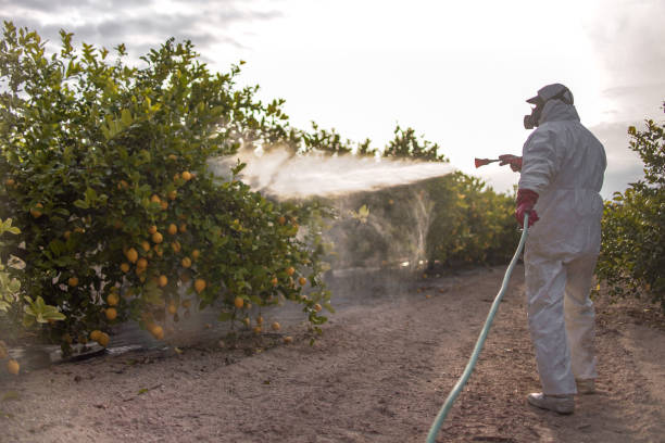 Best Commercial Pest Control Services  in Lake City, MN