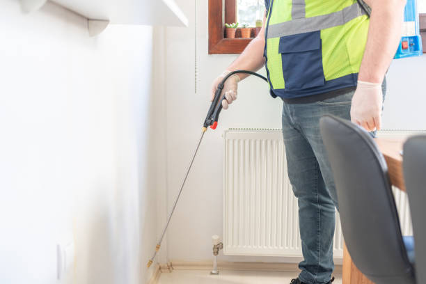 Best Local Pest Control Services  in Lake City, MN