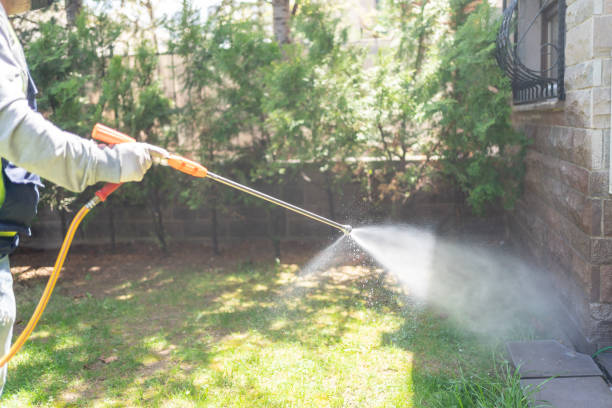 Best Pest Prevention Services  in Lake City, MN