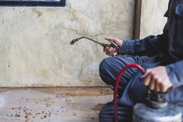 Best Exterminator Services  in Lake City, MN